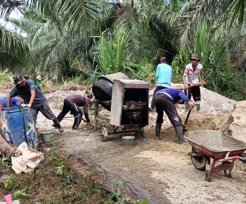 Pemdes Tanjung Pandan Rehabilitasi Jalan Usaha Tani, Akses Petani Kian Lancar