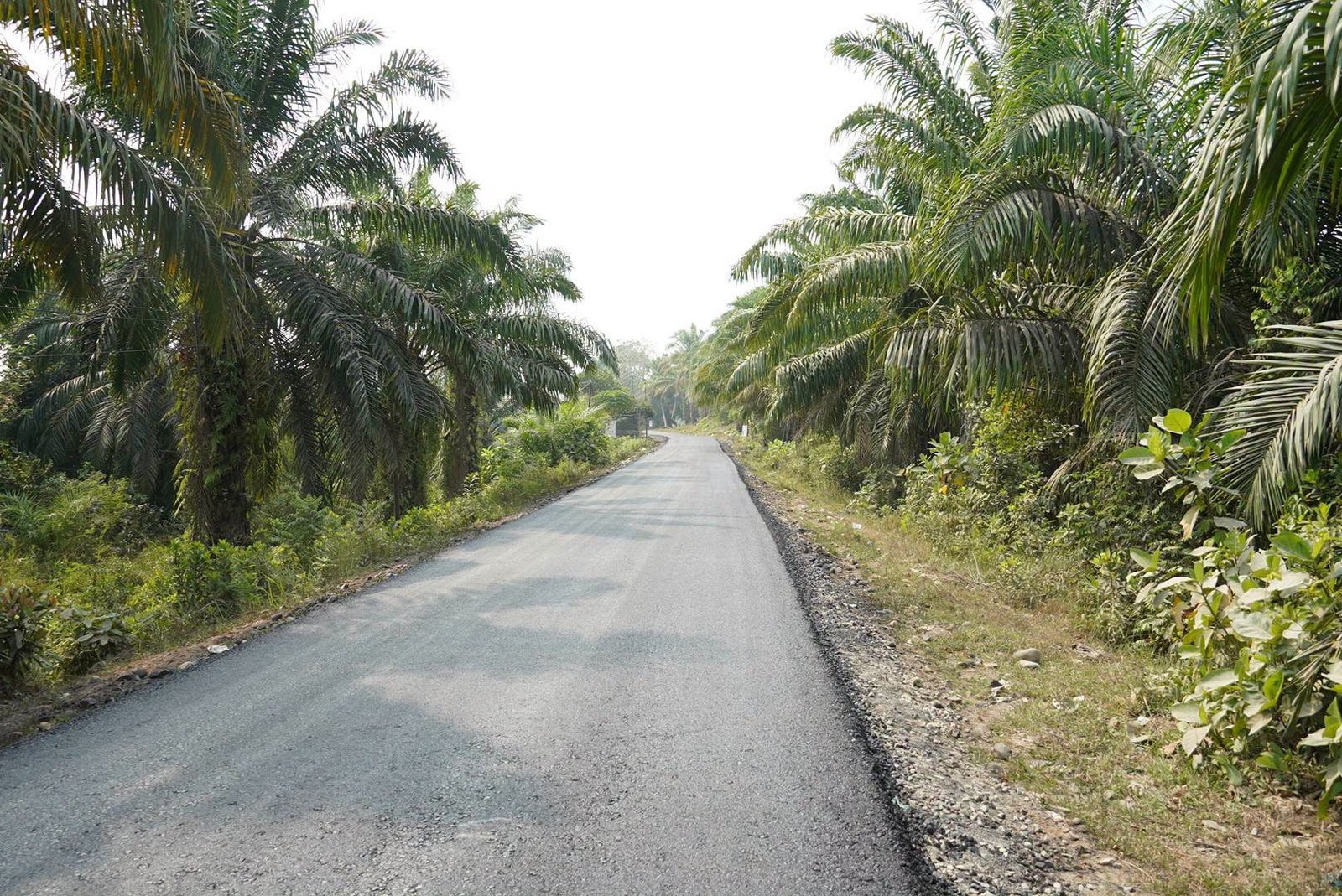 Jalan Tanggul Rawa Makmur Kini Mulus, Warga Akhirnya Menikmati Akses Nyaman